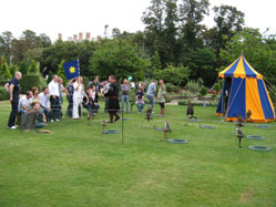 medieval Activity Days - Falconry Displays